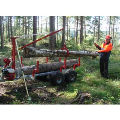 KP1120 Metsavaunu 1 kuva